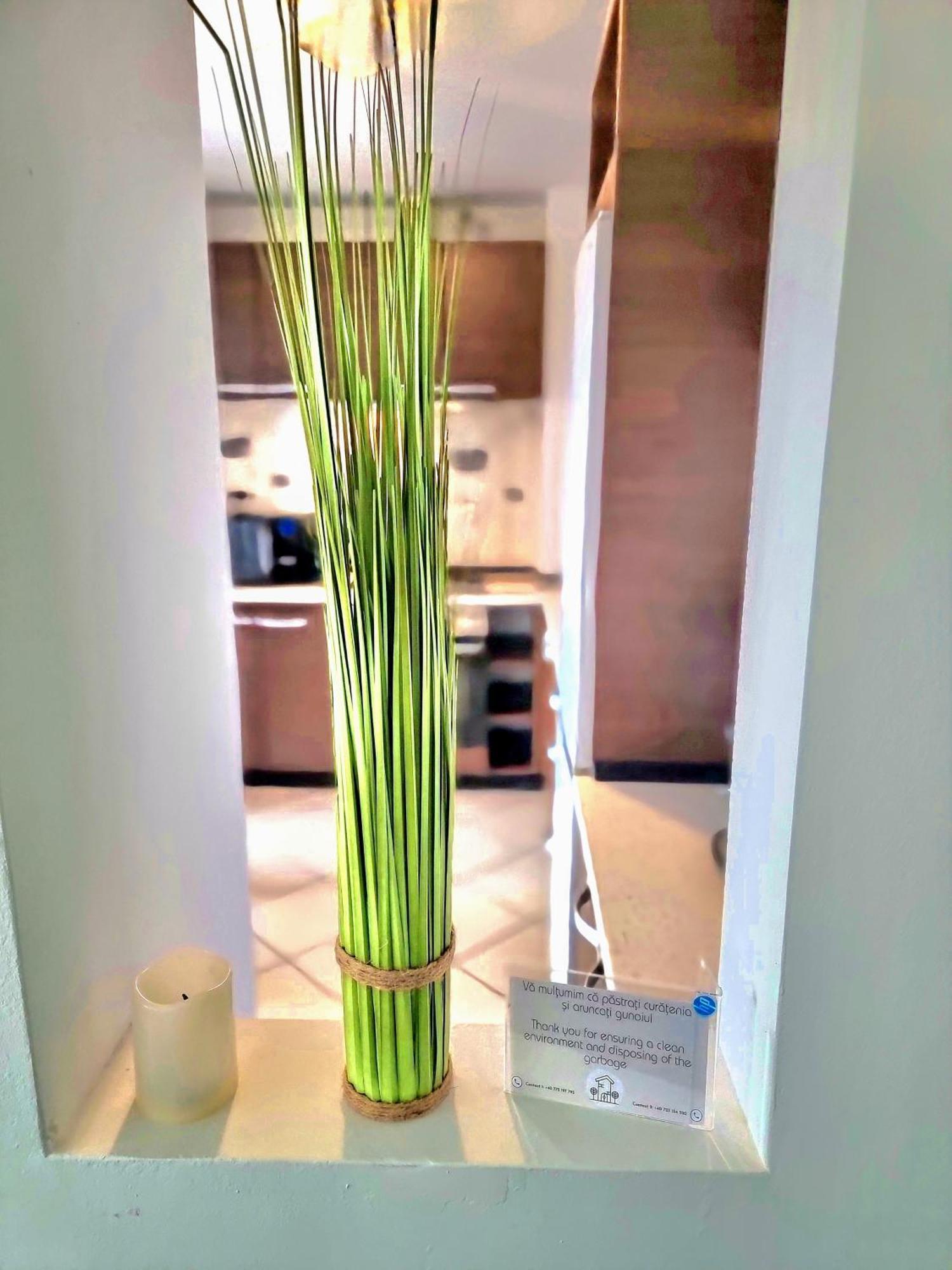Ring Apartment Тимишоара Екстериор снимка